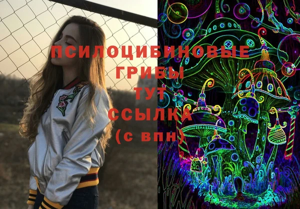 прущий лед Бердск