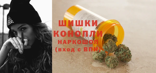 герыч Мегион