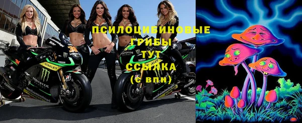 герыч Мегион