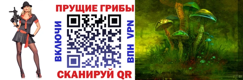 Галлюциногенные грибы прущие грибы  закладка  Остров 